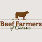 Ontario Beef YouTube channel avatar 