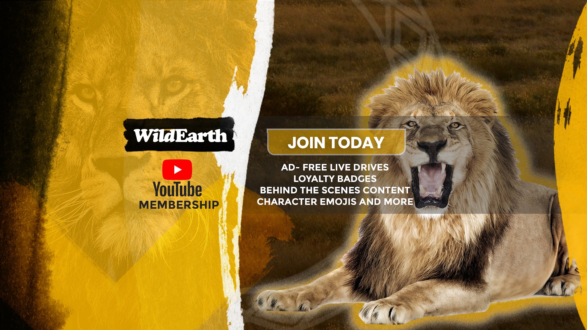 WildEarth YouTube banner