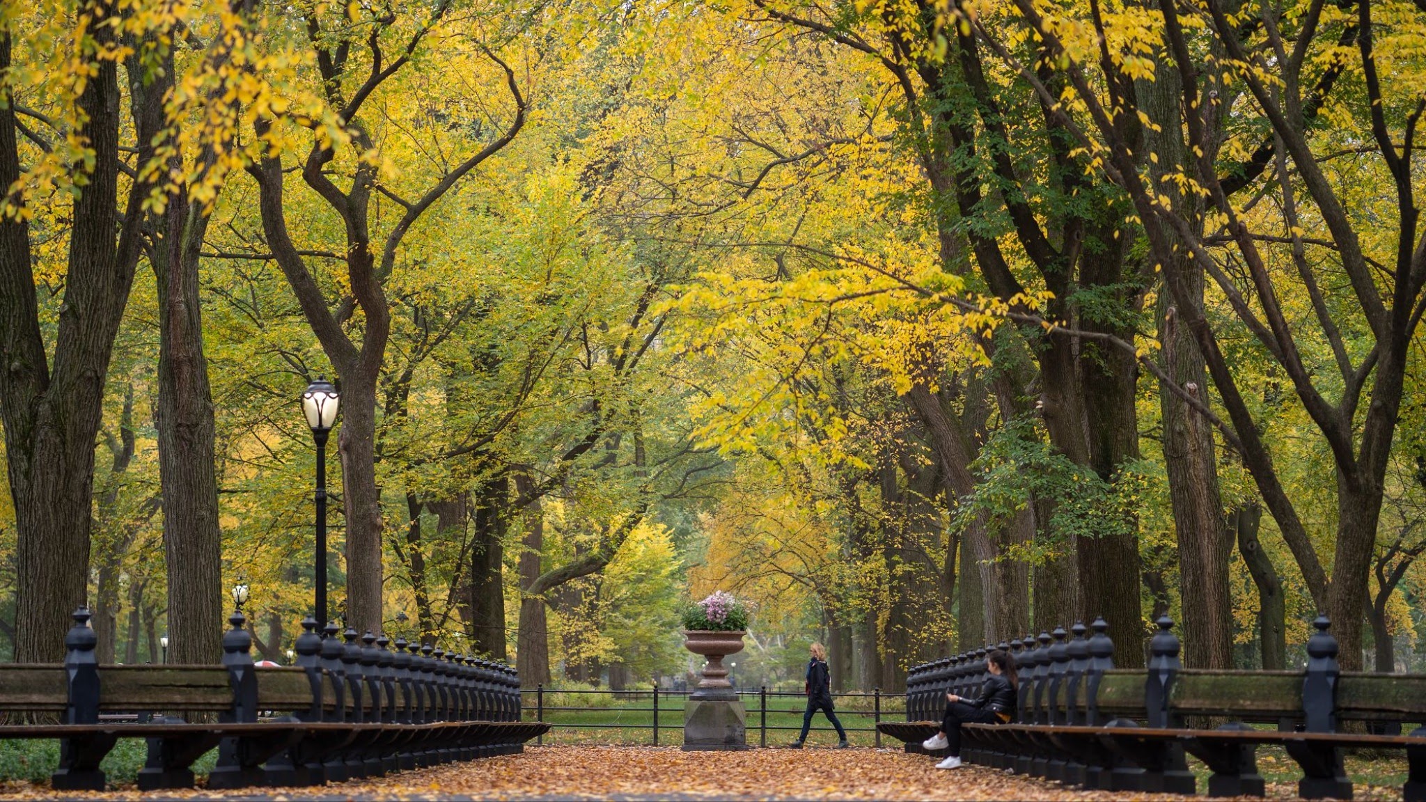 Central Park Conservancy YouTube banner