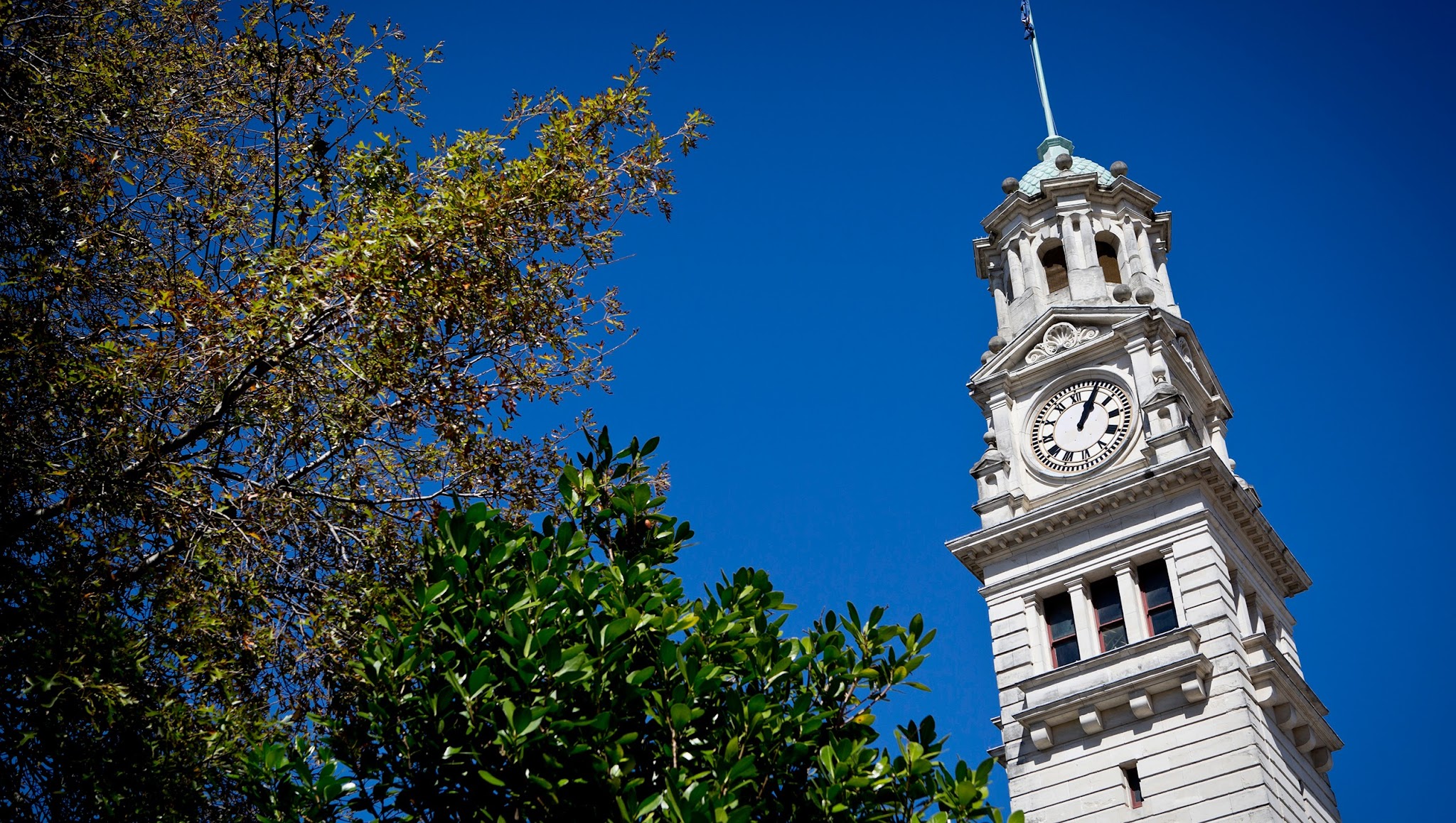 Auckland Council Live YouTube banner