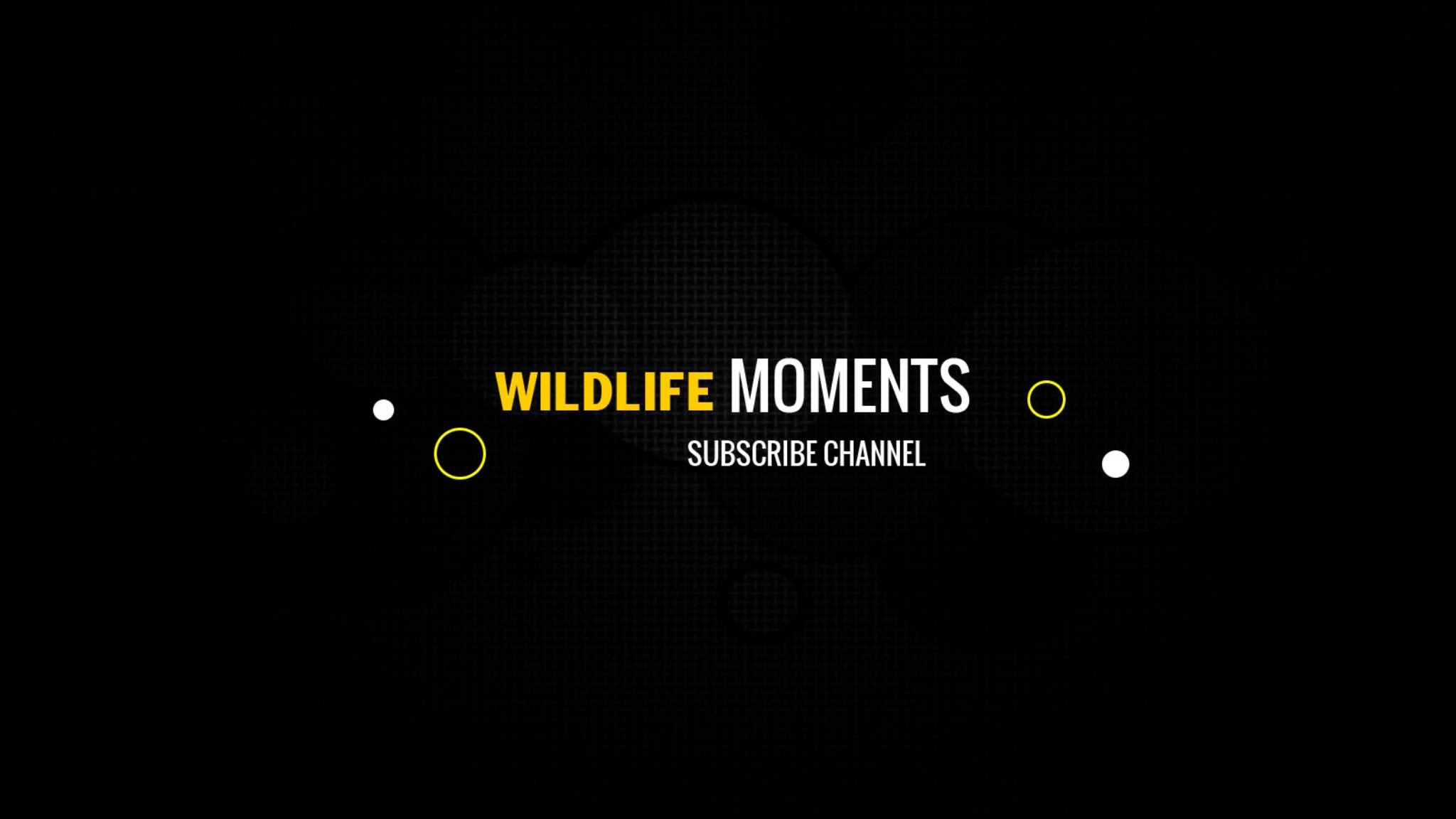 SWAG - Wildlife Moments YouTube banner