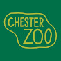 Chester Zoo YouTube thumbnail