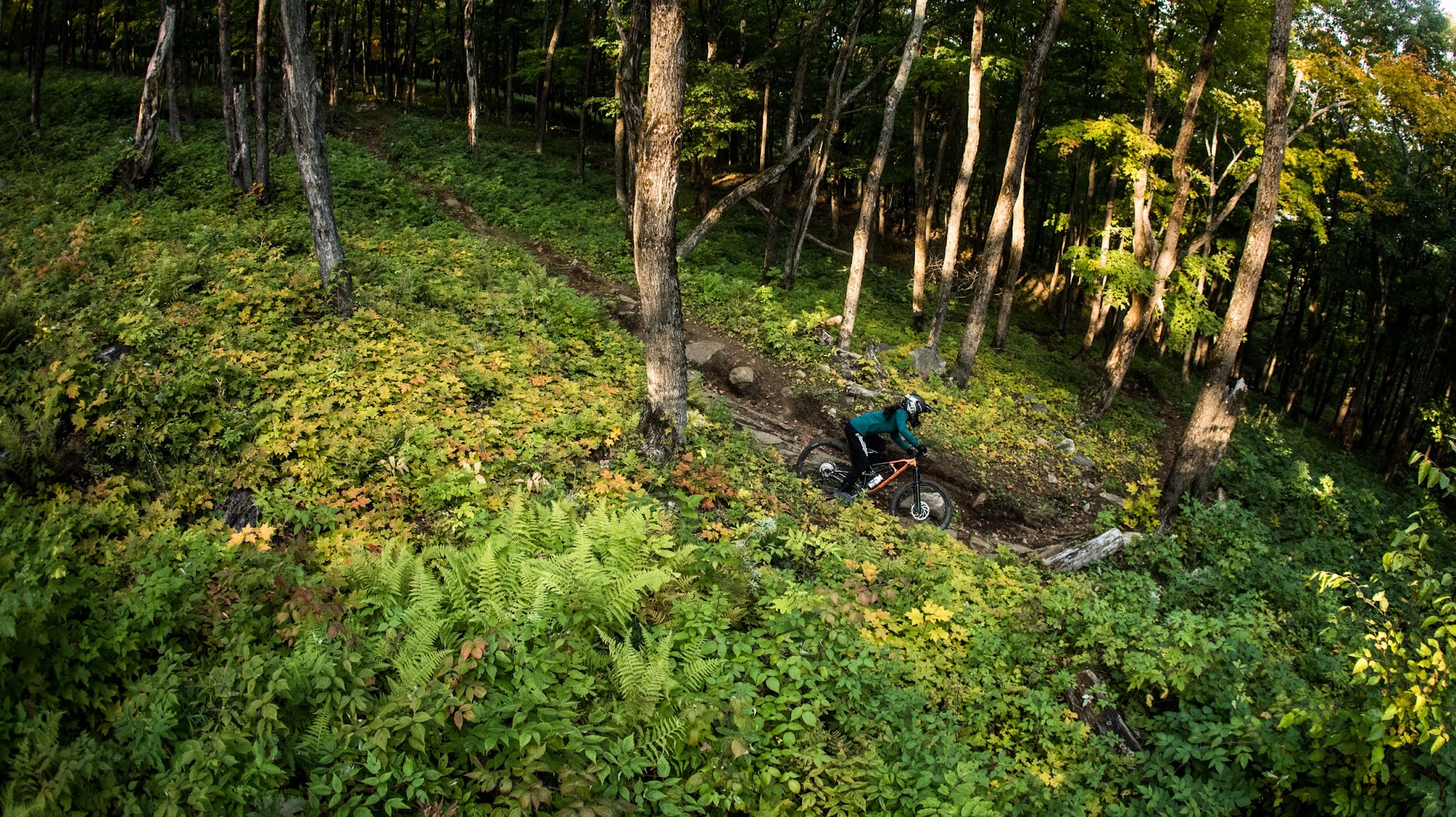 Mont-Sainte-Anne & Stoneham YouTube banner