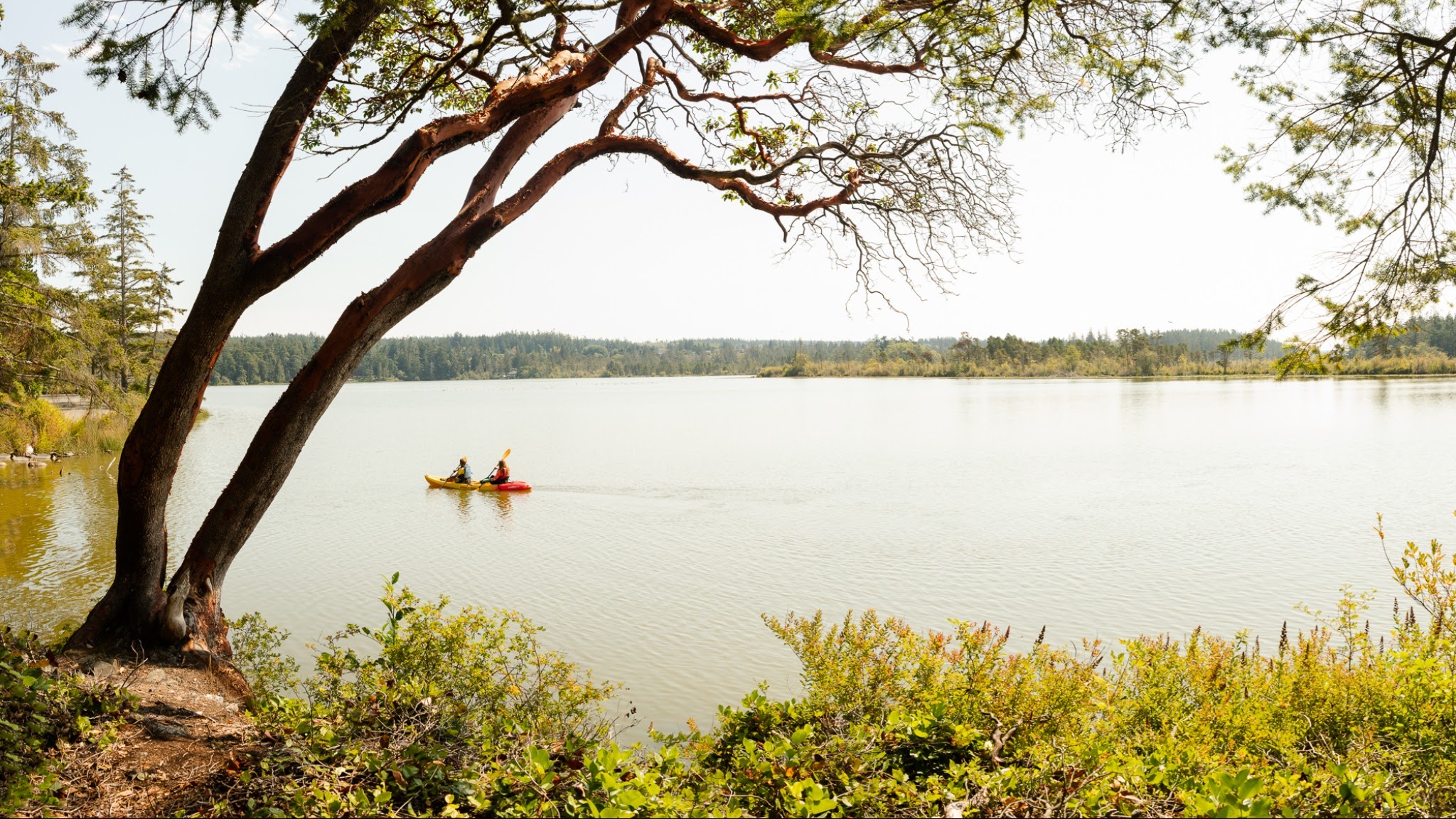 WashingtonStateParks YouTube banner