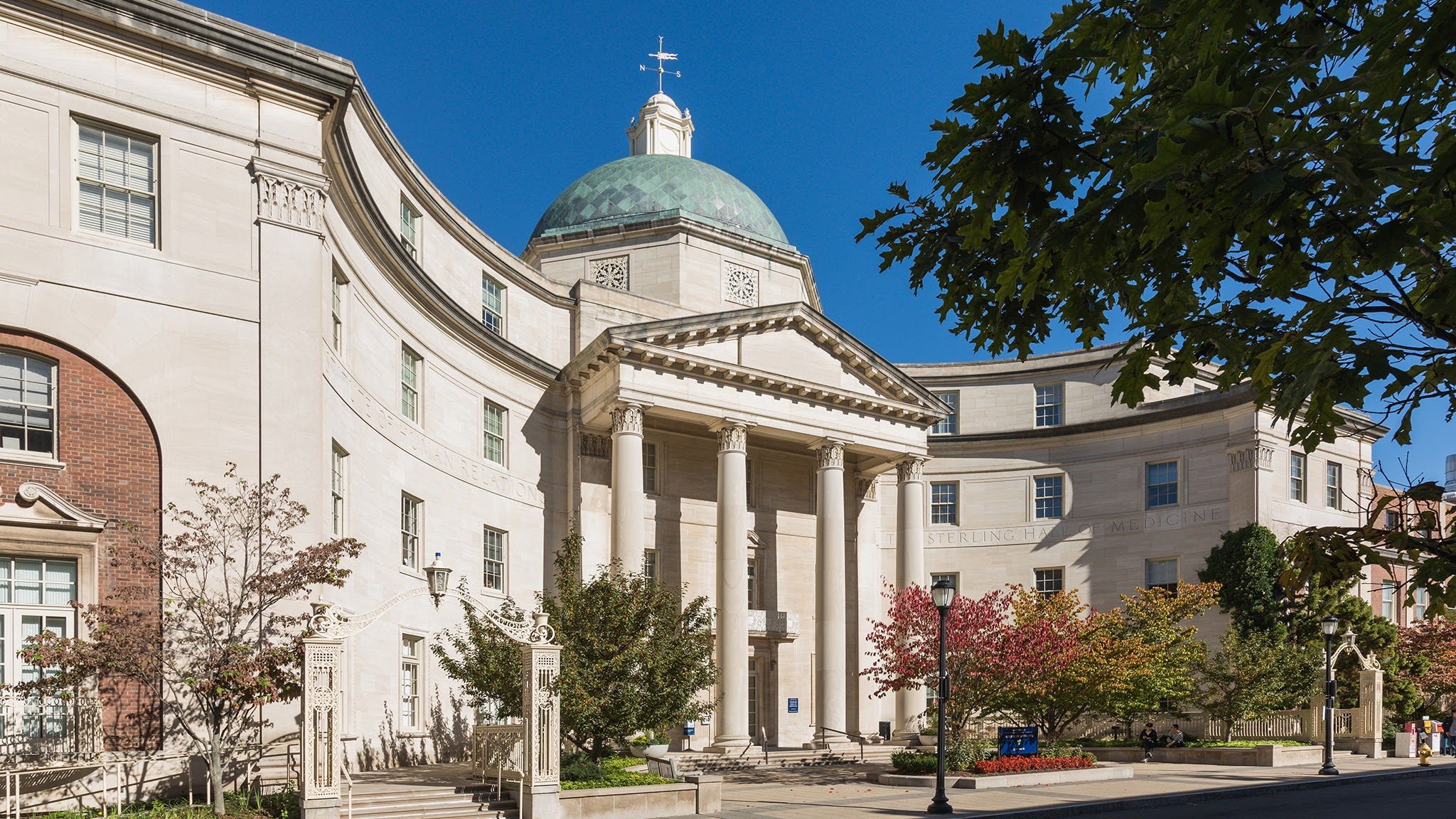 Yale School Of Medicine YouTube banner