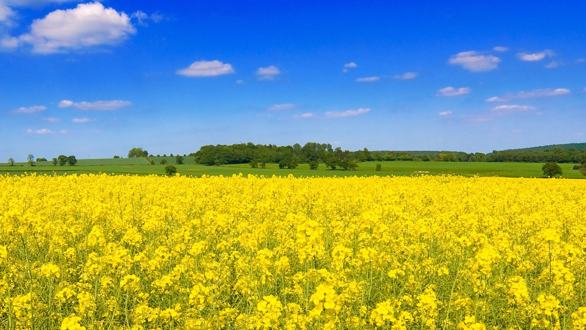 Corteva Agriscience Australia and New Zealand YouTube banner