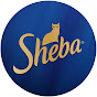 SHEBA® Brand YouTube thumbnail