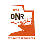 Utah Division of Wildlife Resources YouTube channel avatar 