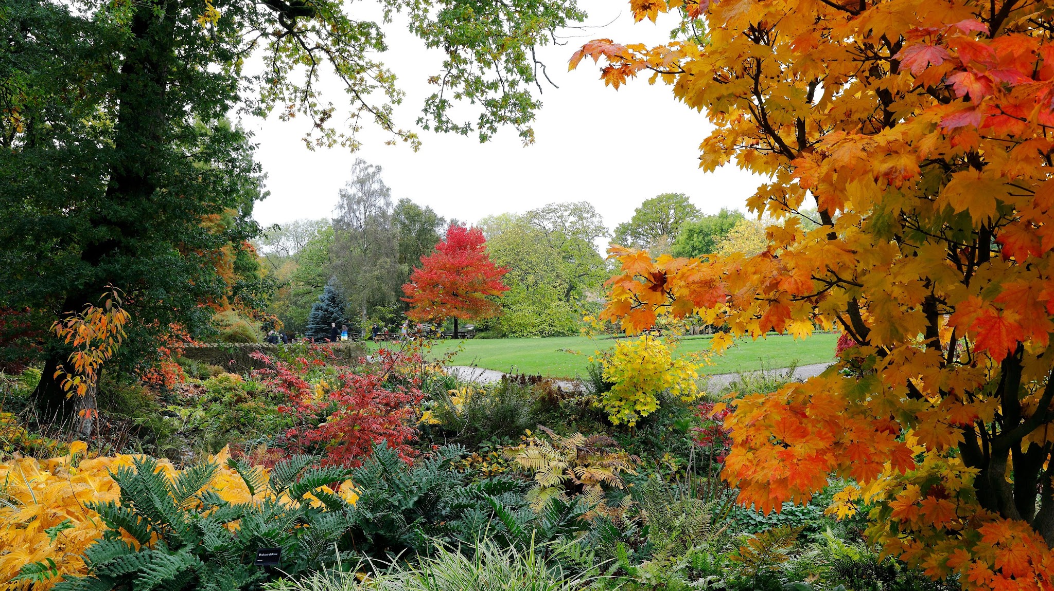 RHS - Royal Horticultural Society YouTube banner