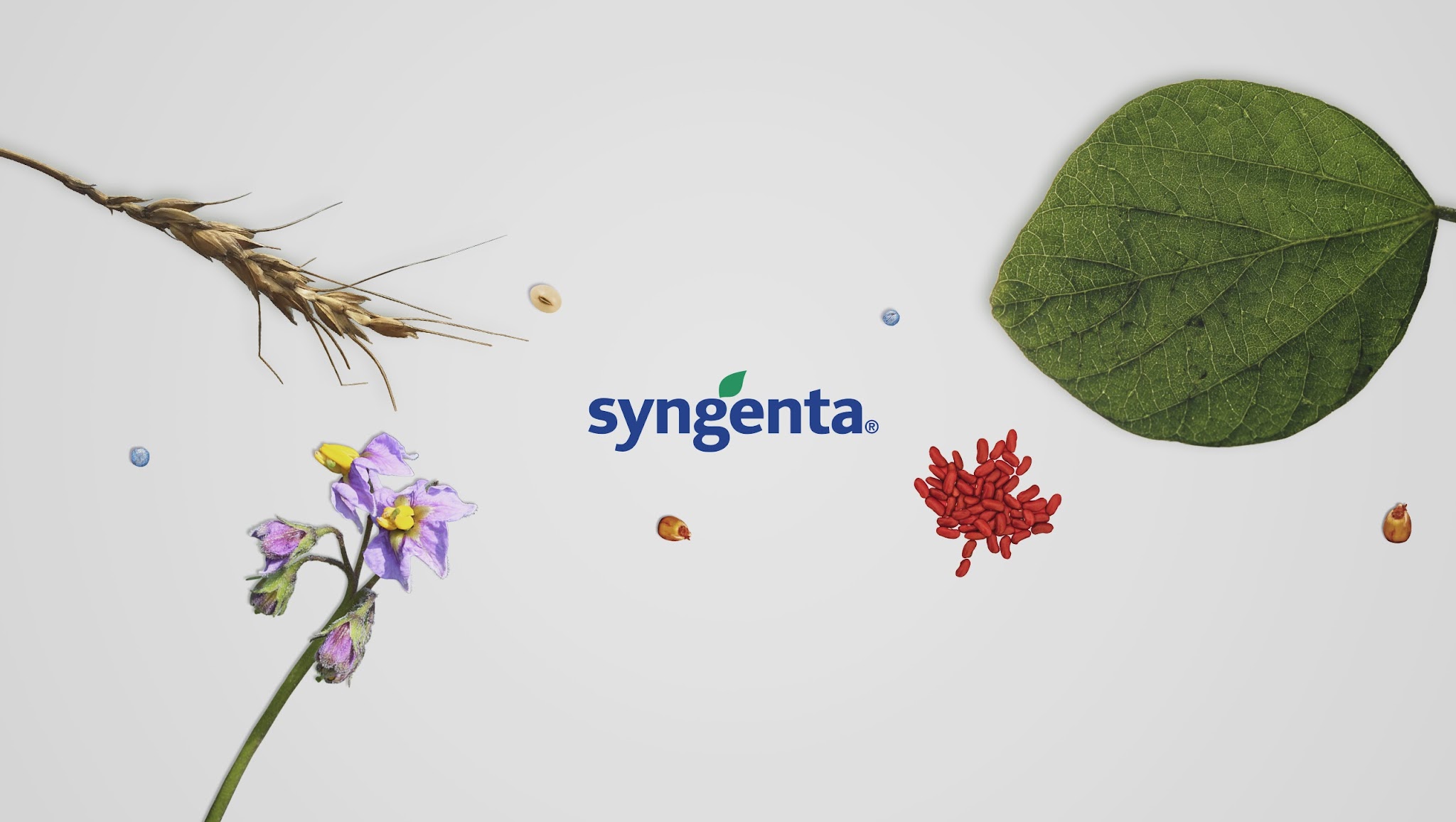 SyngentaCanada YouTube banner