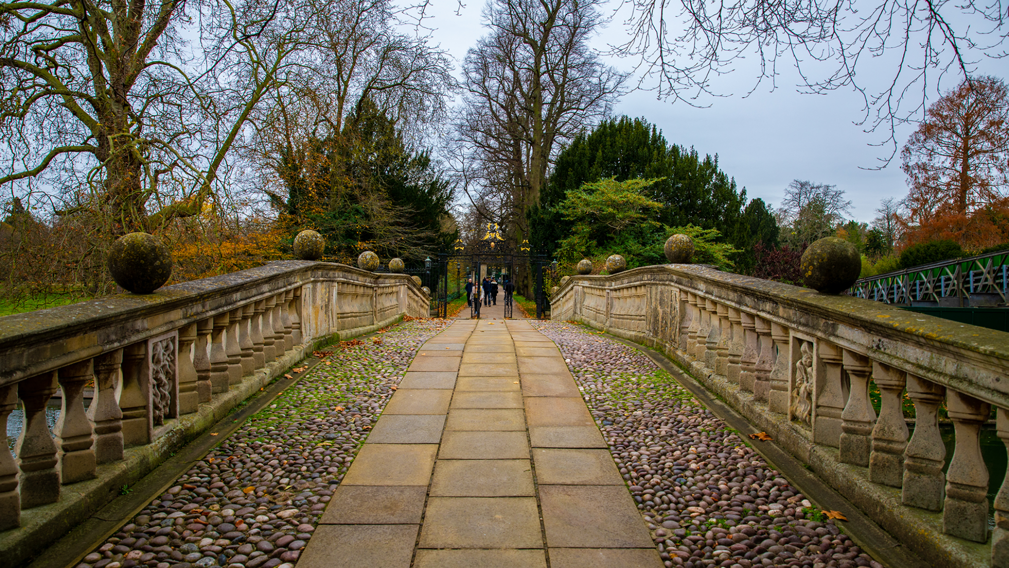 Cambridge University YouTube banner