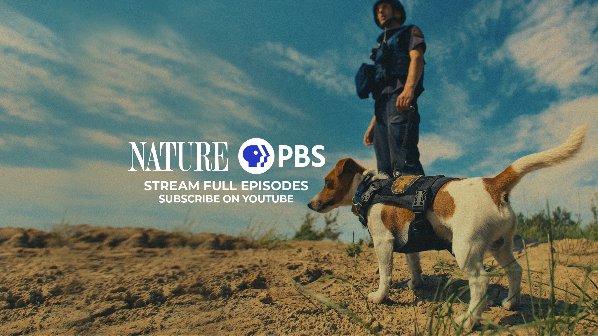 Nature on PBS YouTube banner