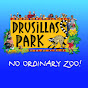 Drusillas Park YouTube channel avatar 