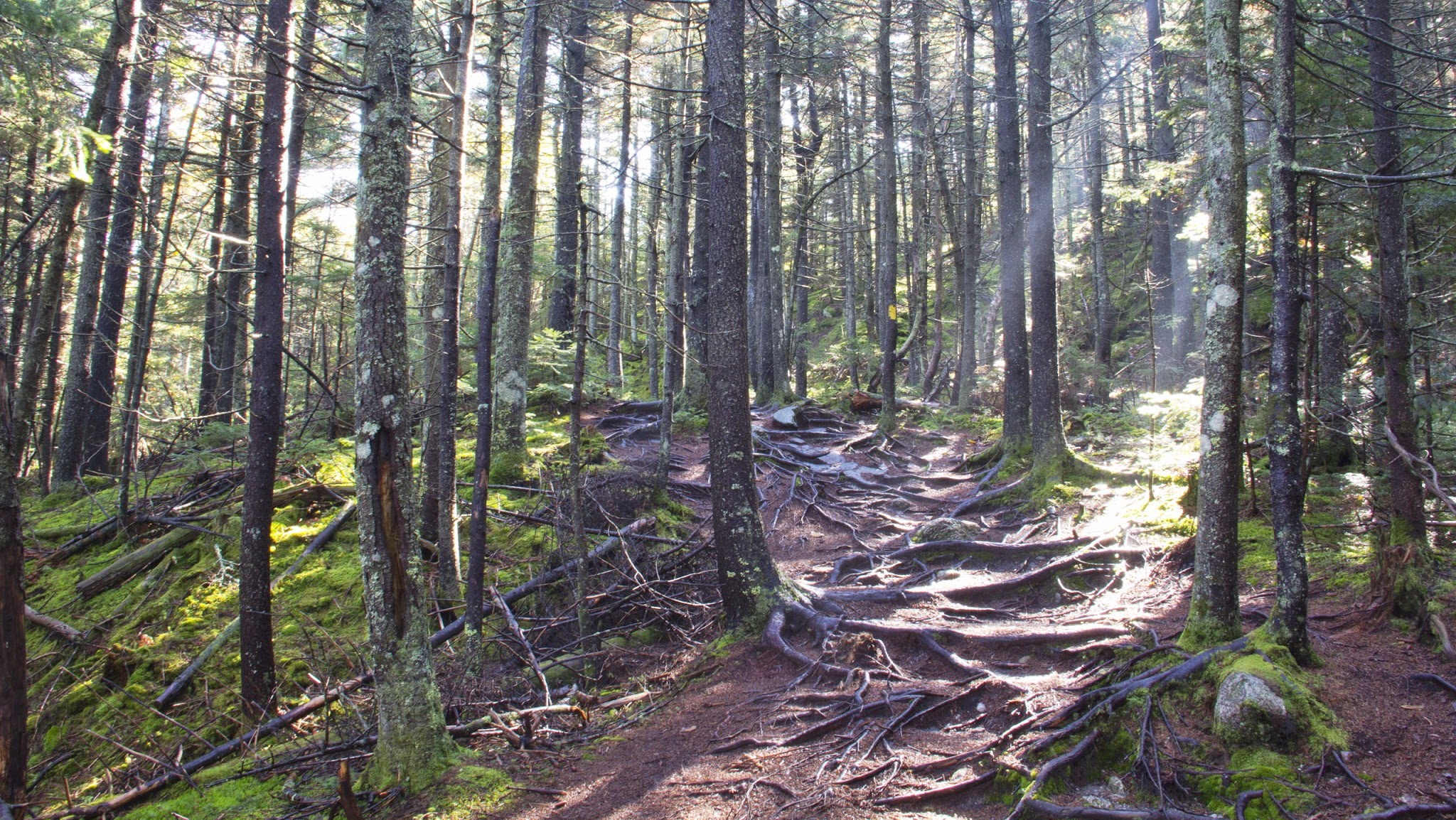 NH State Parks YouTube banner