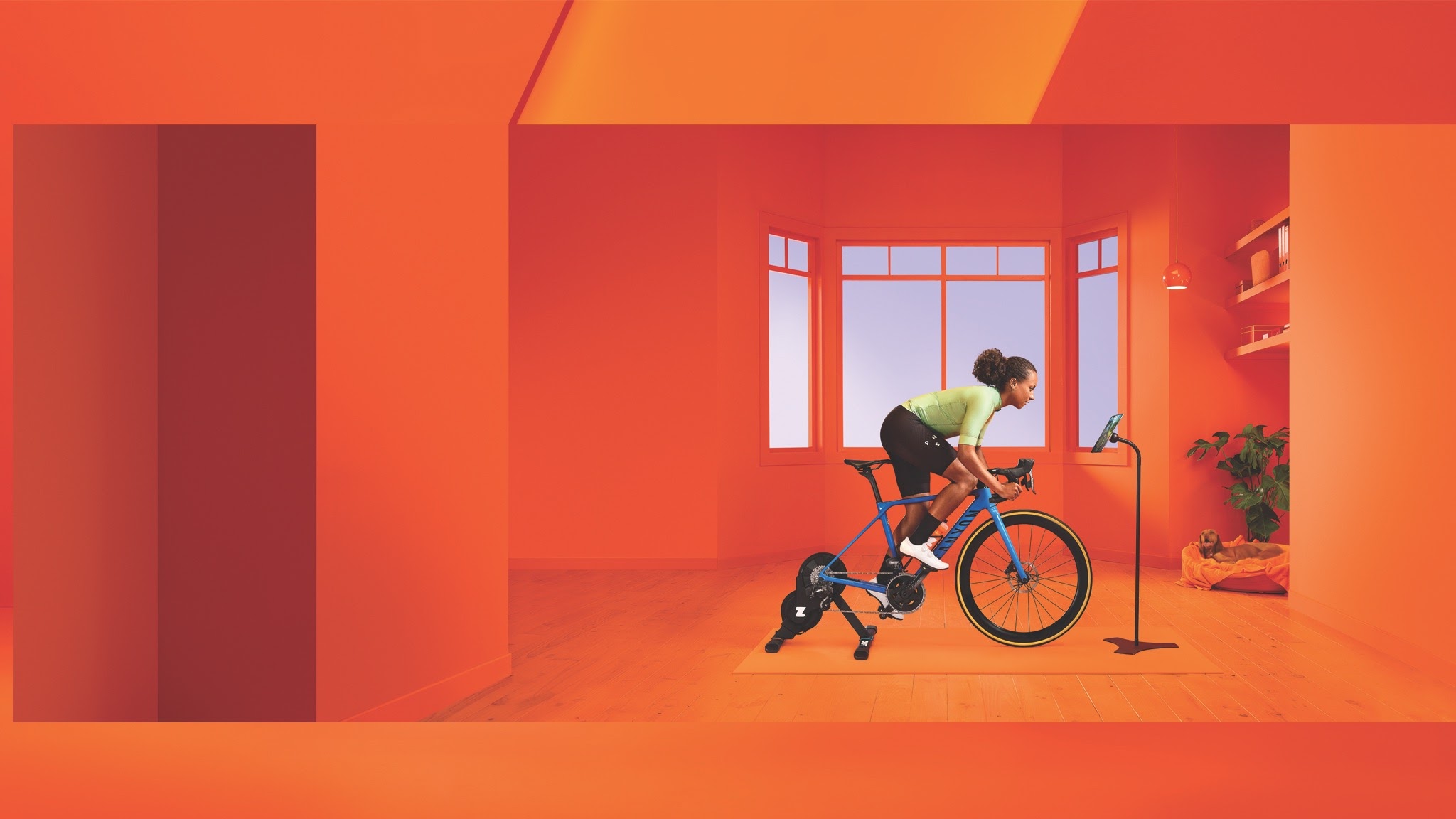 Zwift YouTube banner