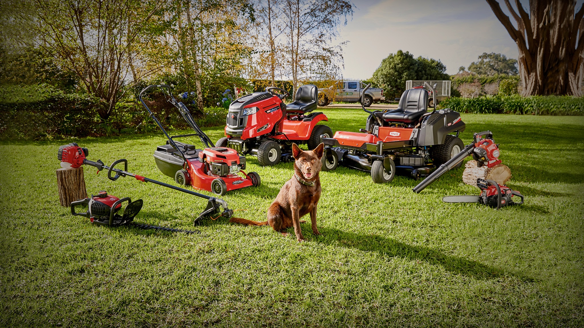 Rover Australia YouTube banner