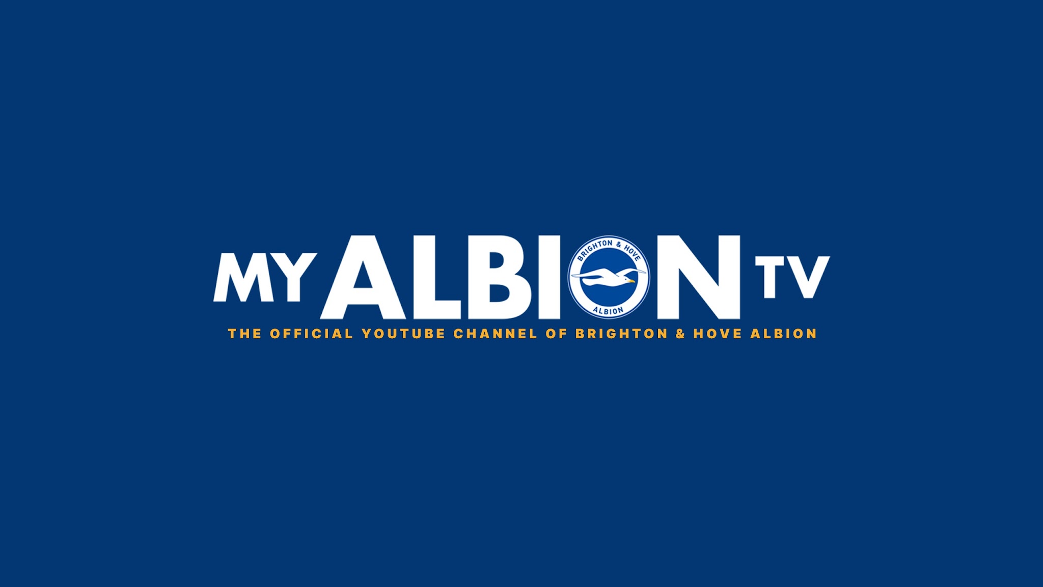 Official Brighton & Hove Albion FC YouTube banner