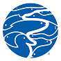 Tennessee Aquarium YouTube channel avatar 