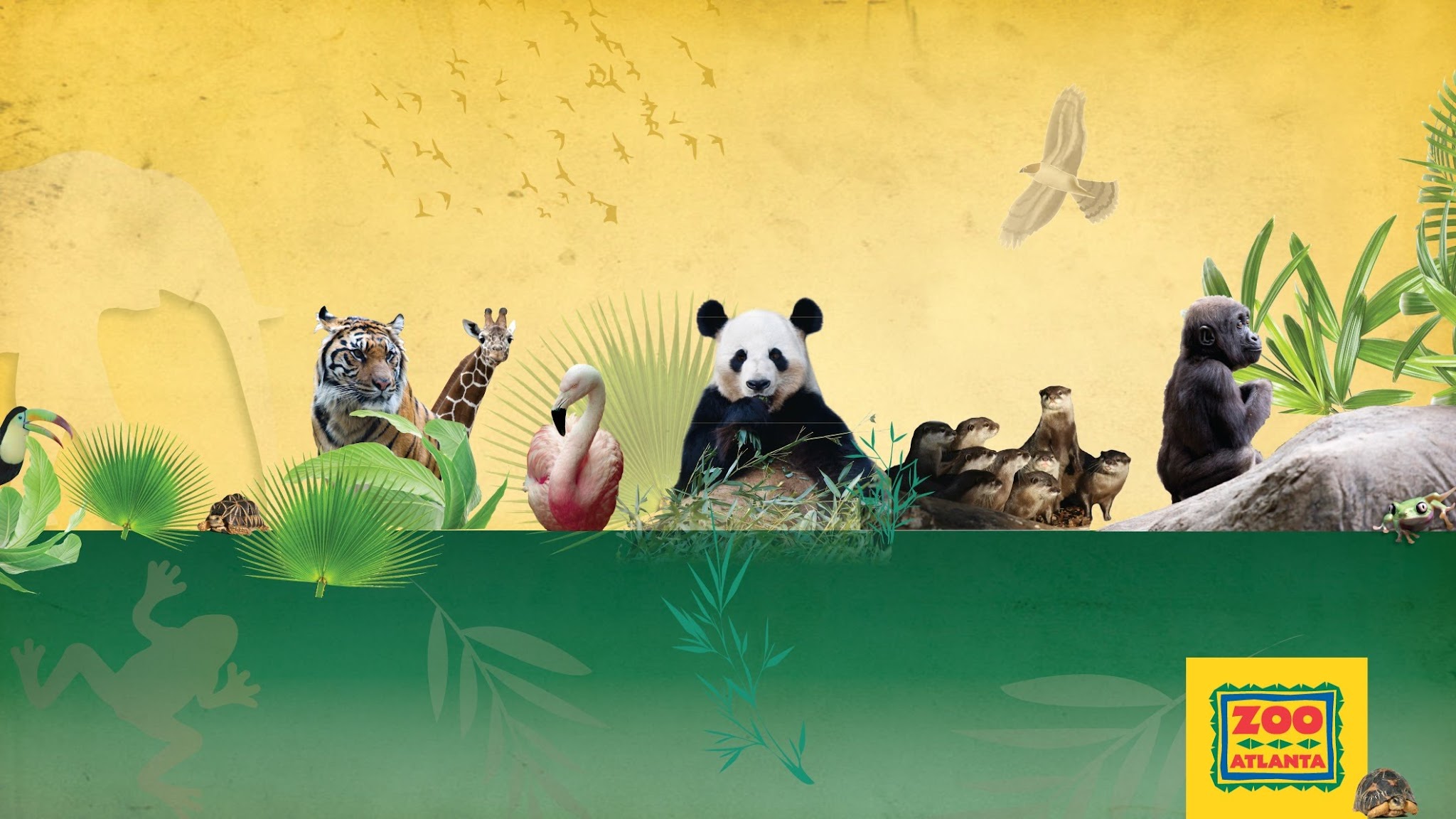 Zoo Atlanta YouTube banner