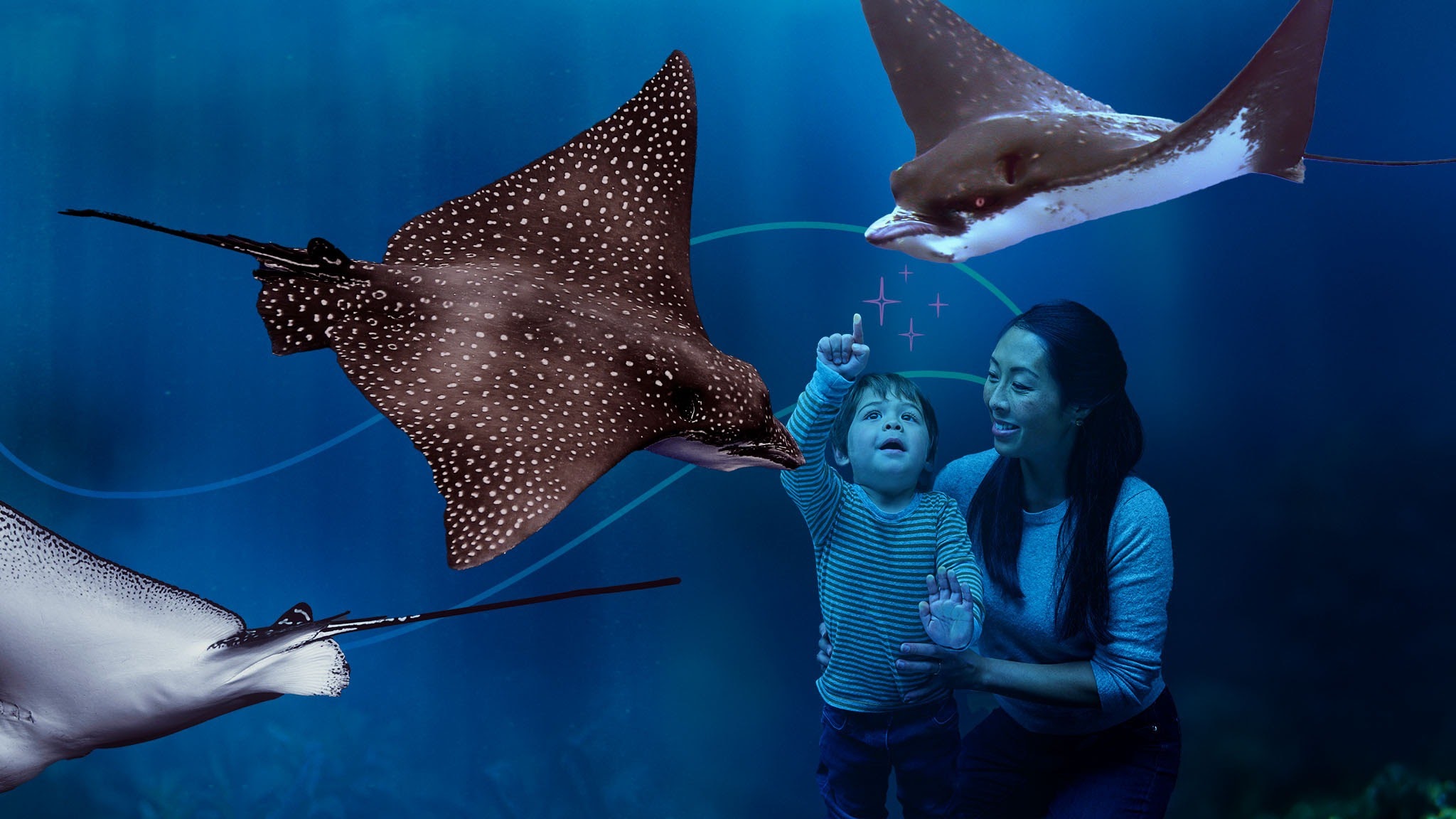 Seattle Aquarium YouTube banner