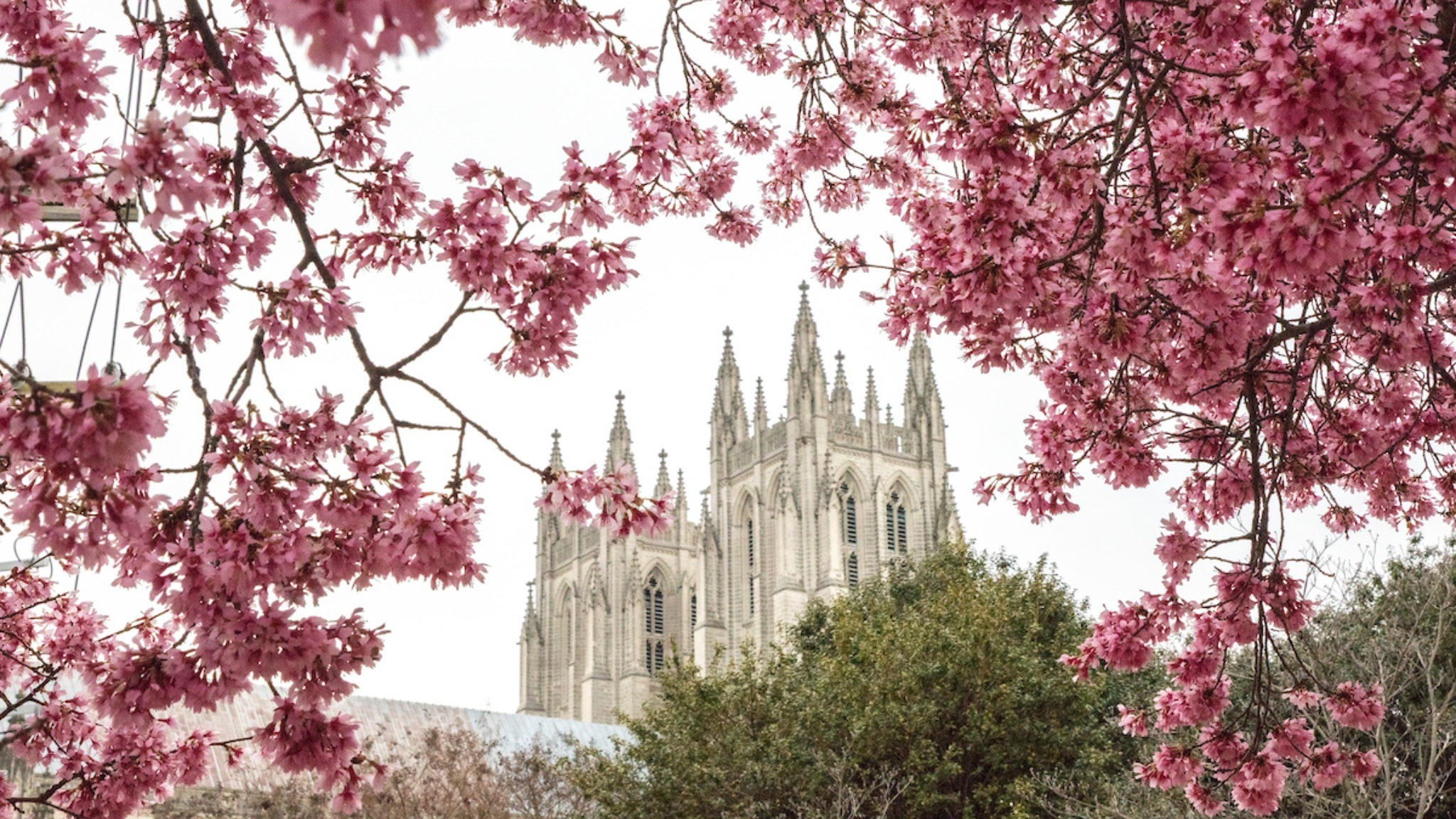 Washington National Cathedral YouTube banner