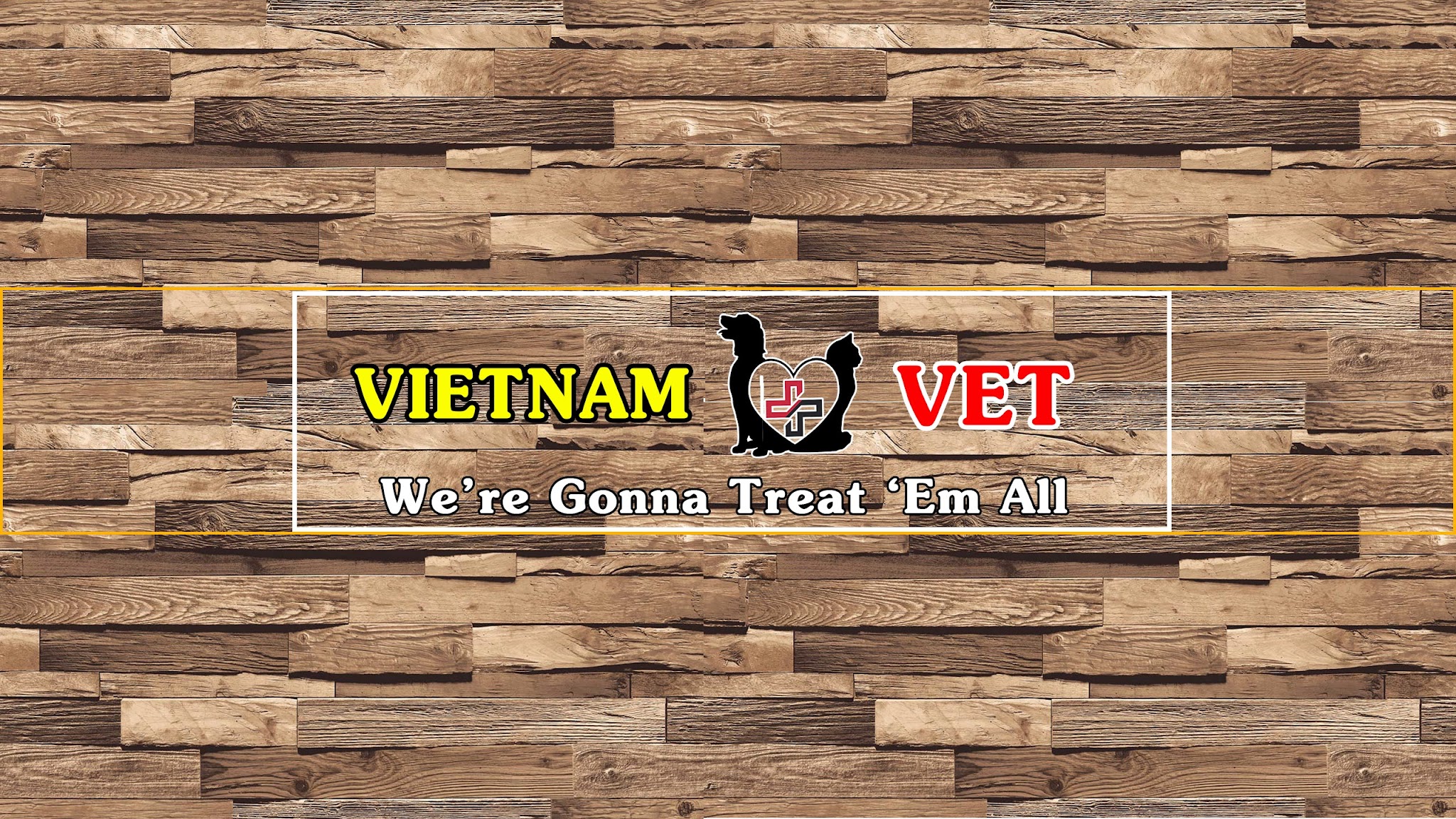 Vietnam Animal Vet Clinic YouTube banner