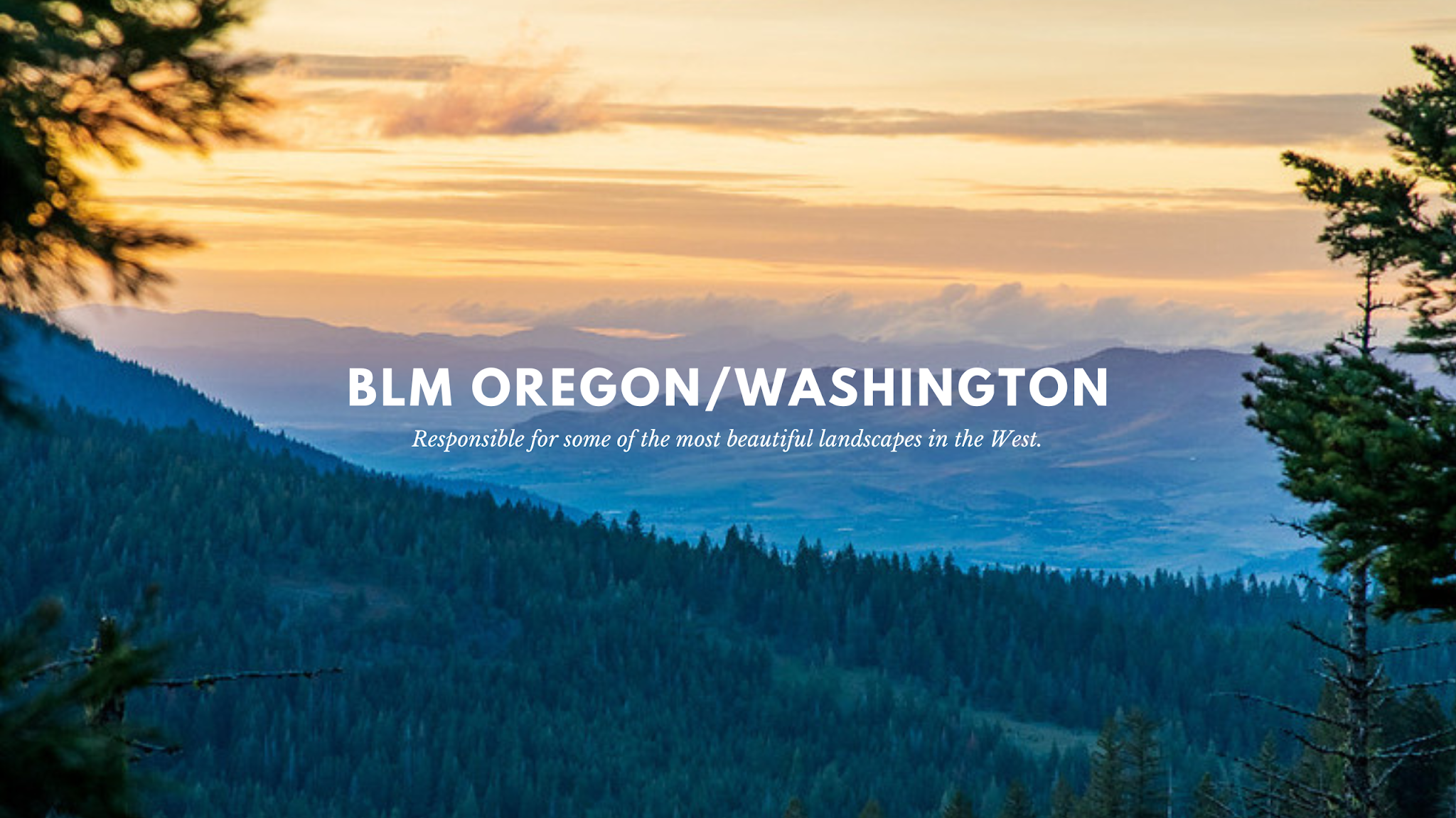 BLM Oregon & Washington YouTube banner