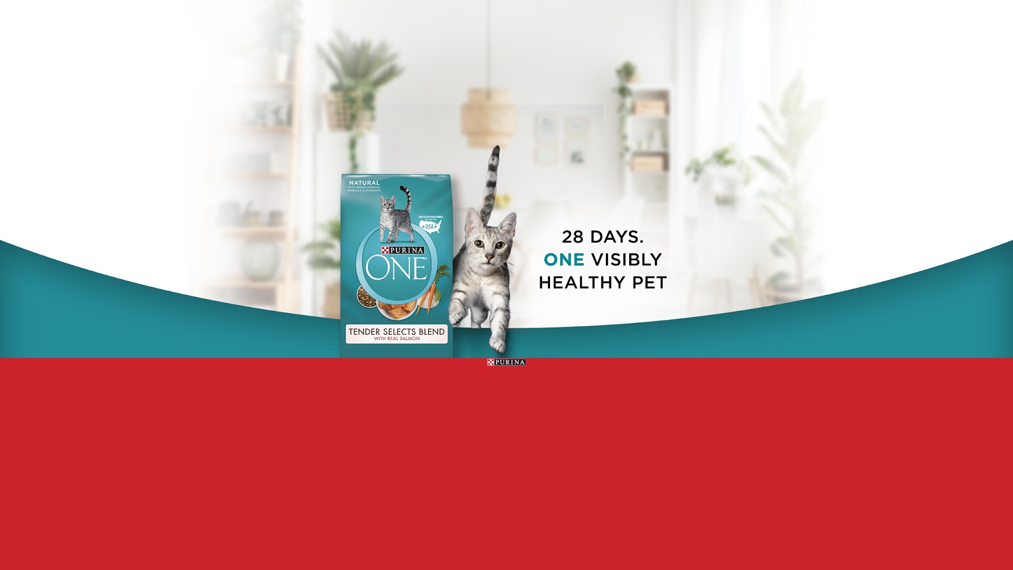 Purina ONE Cat YouTube banner