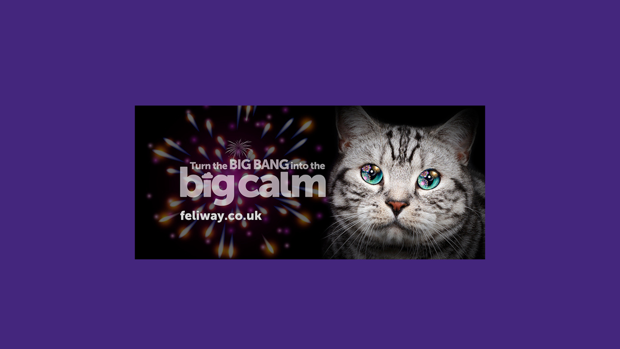 FELIWAY for Cats YouTube banner