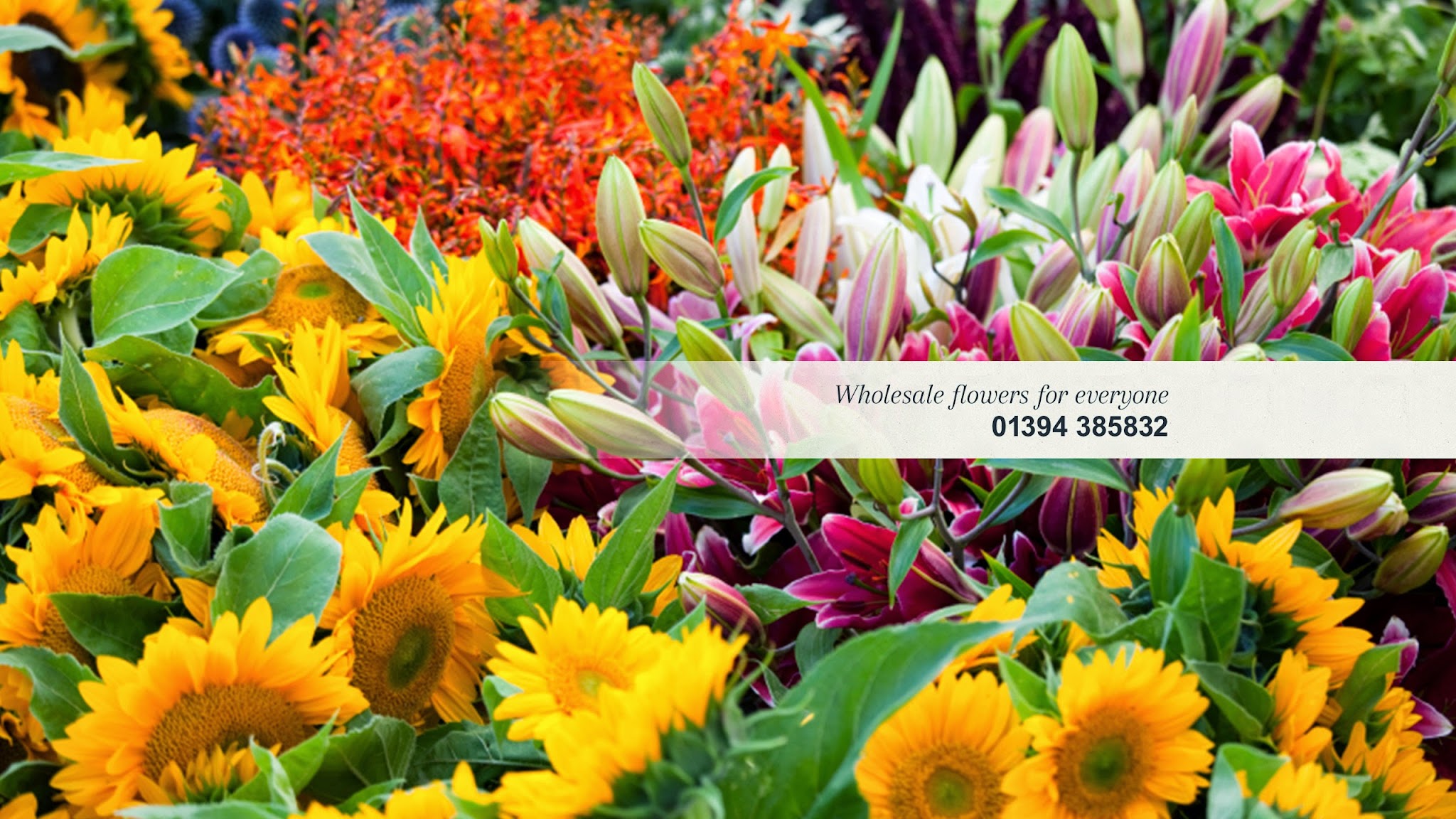 Triangle Nursery Academy and Flower Wholesalers YouTube banner