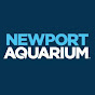 Newport Aquarium YouTube thumbnail