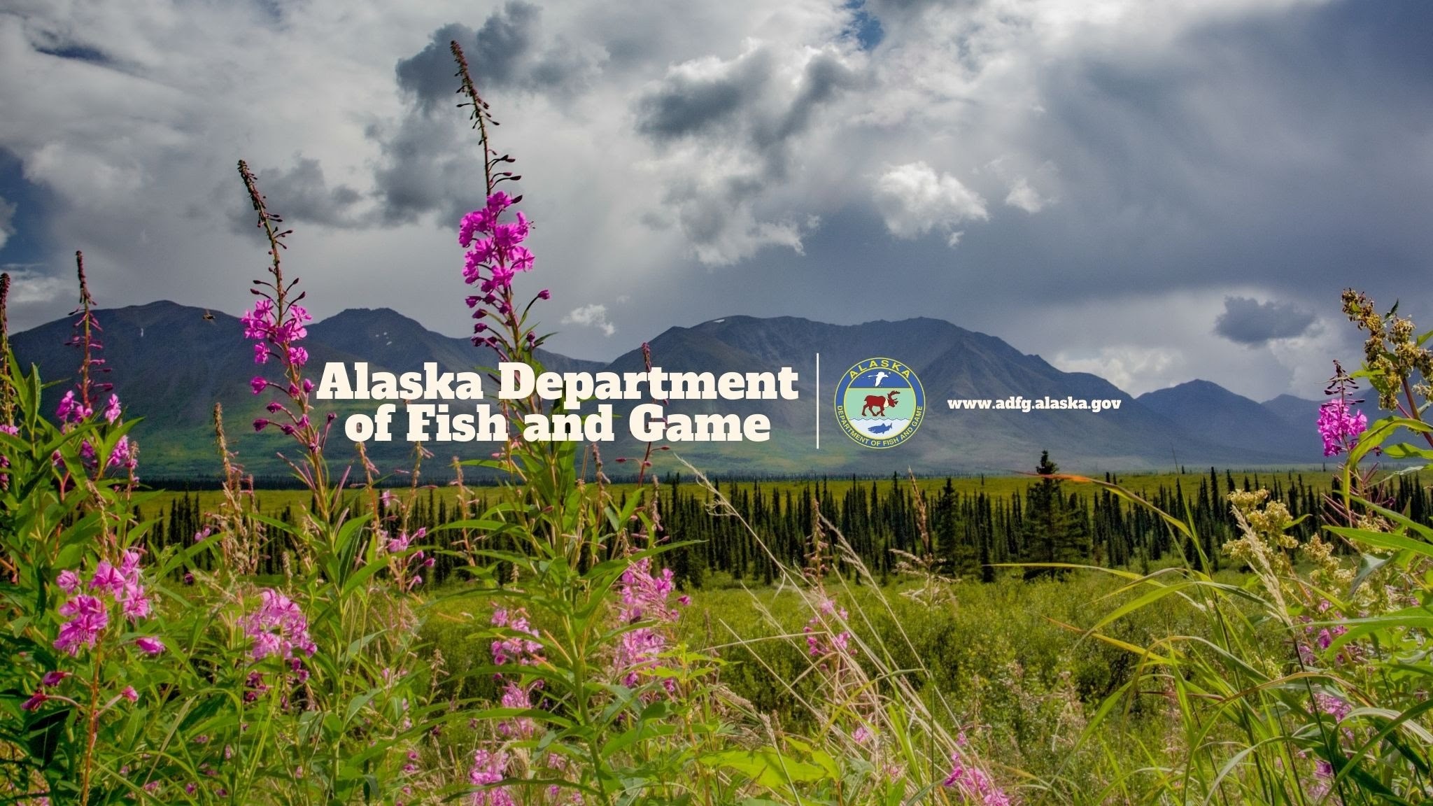 Alaska Department of Fish and Game YouTube banner