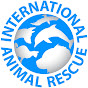 International Animal Rescue IAR YouTube channel avatar 