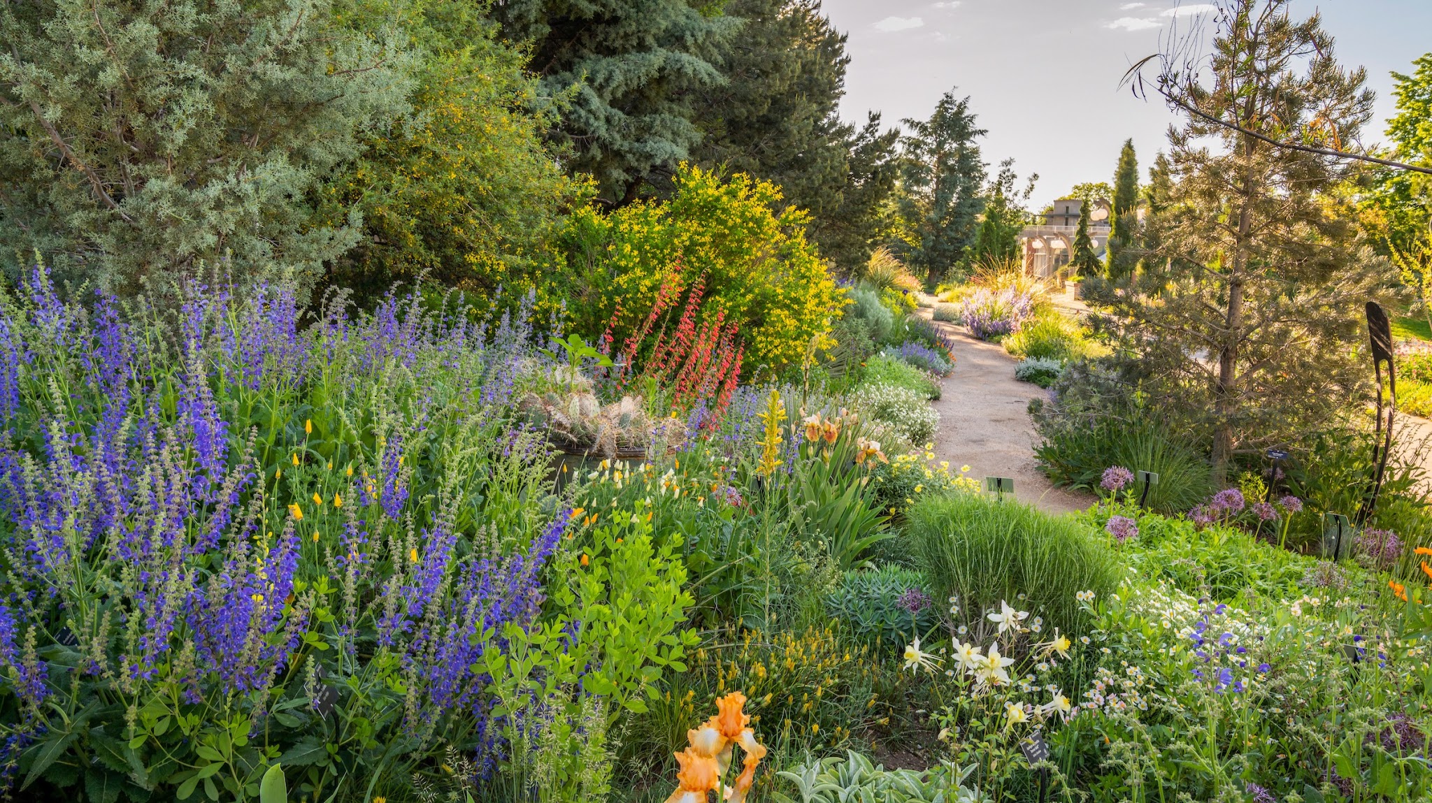 Denver Botanic Gardens YouTube banner