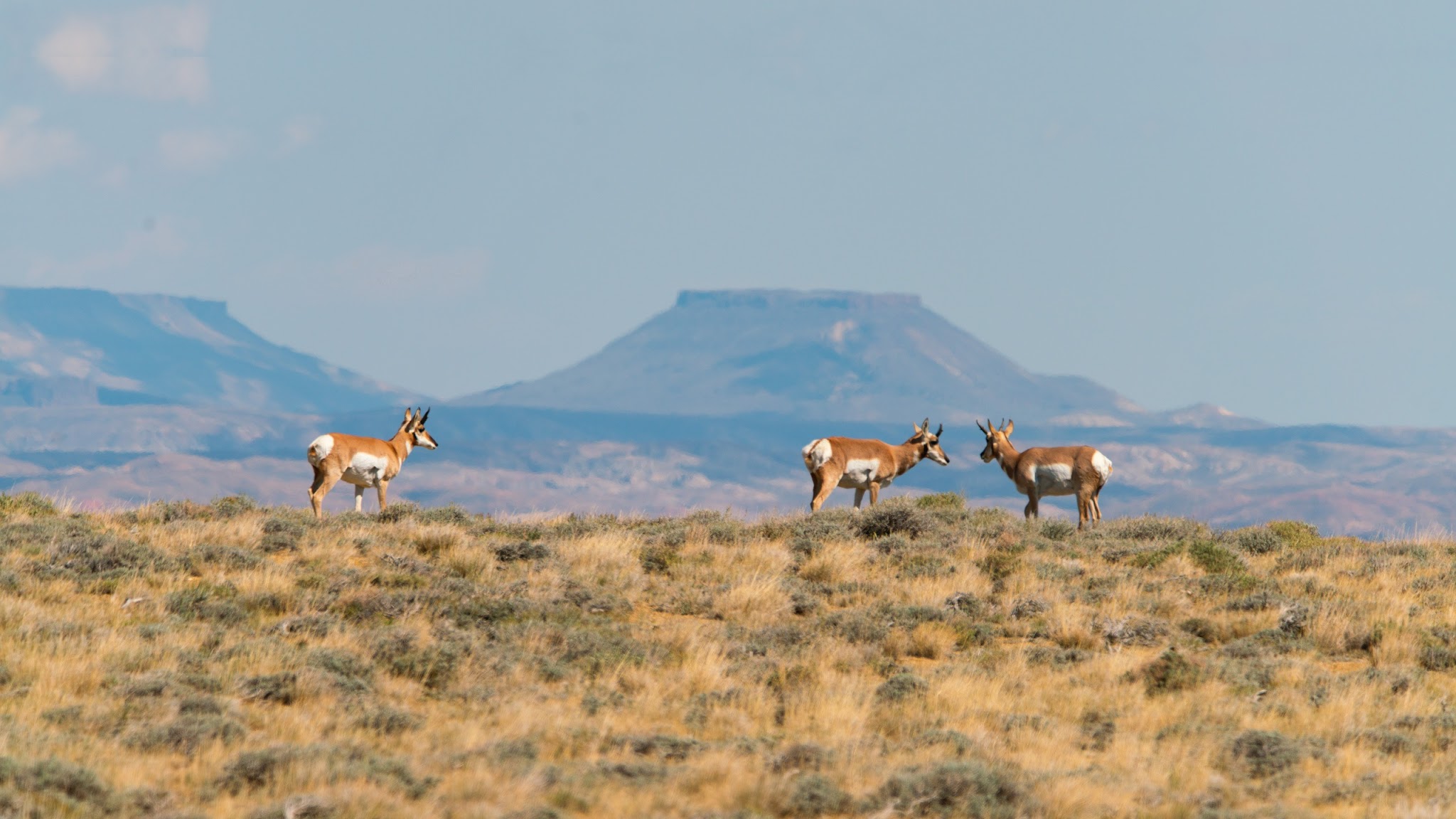 Wyoming Game and Fish Department YouTube banner