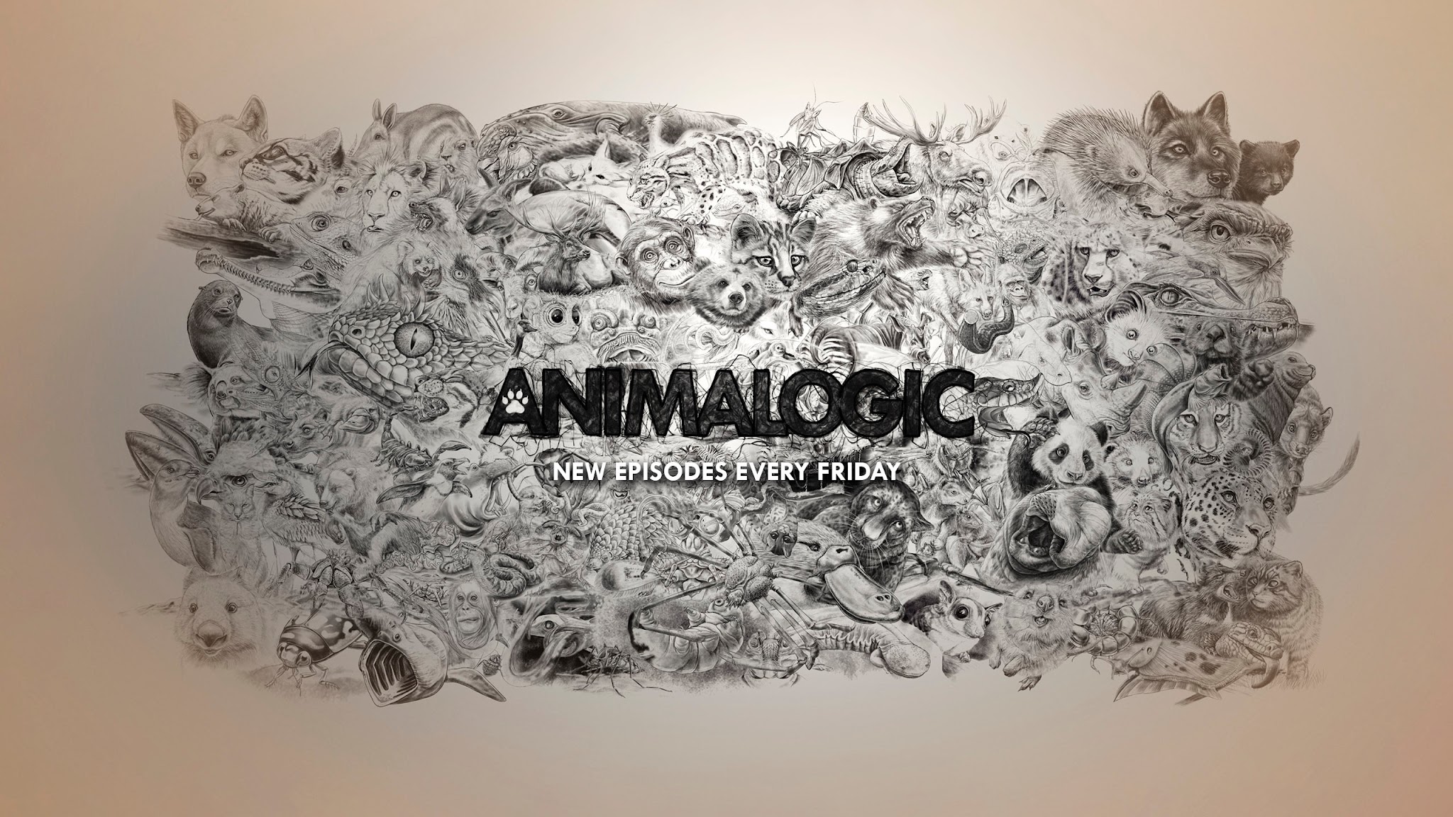 Animalogic YouTube banner