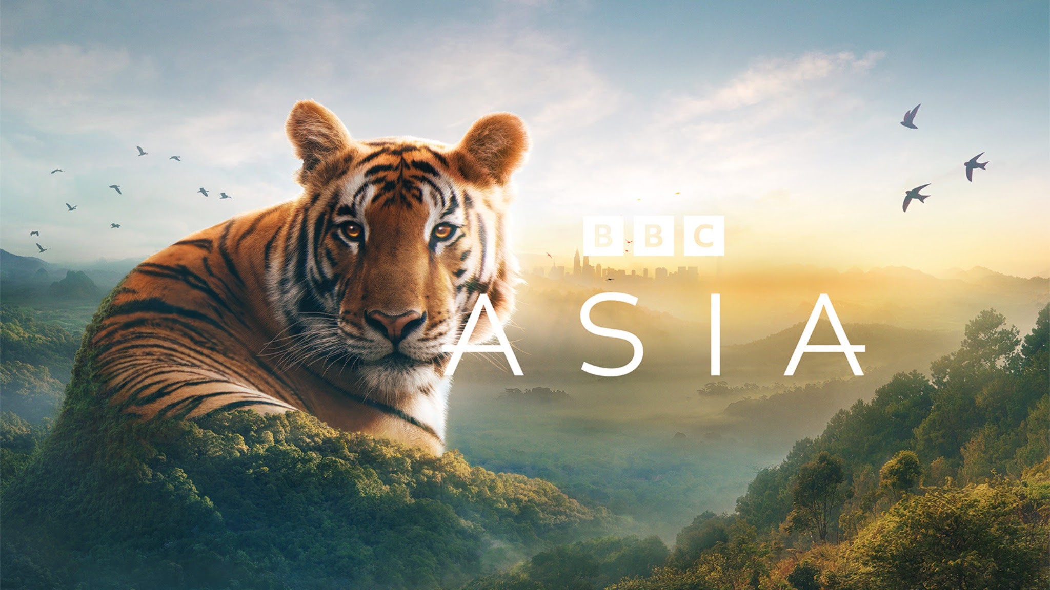 BBC Earth YouTube banner