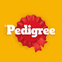 PEDIGREE AU YouTube thumbnail