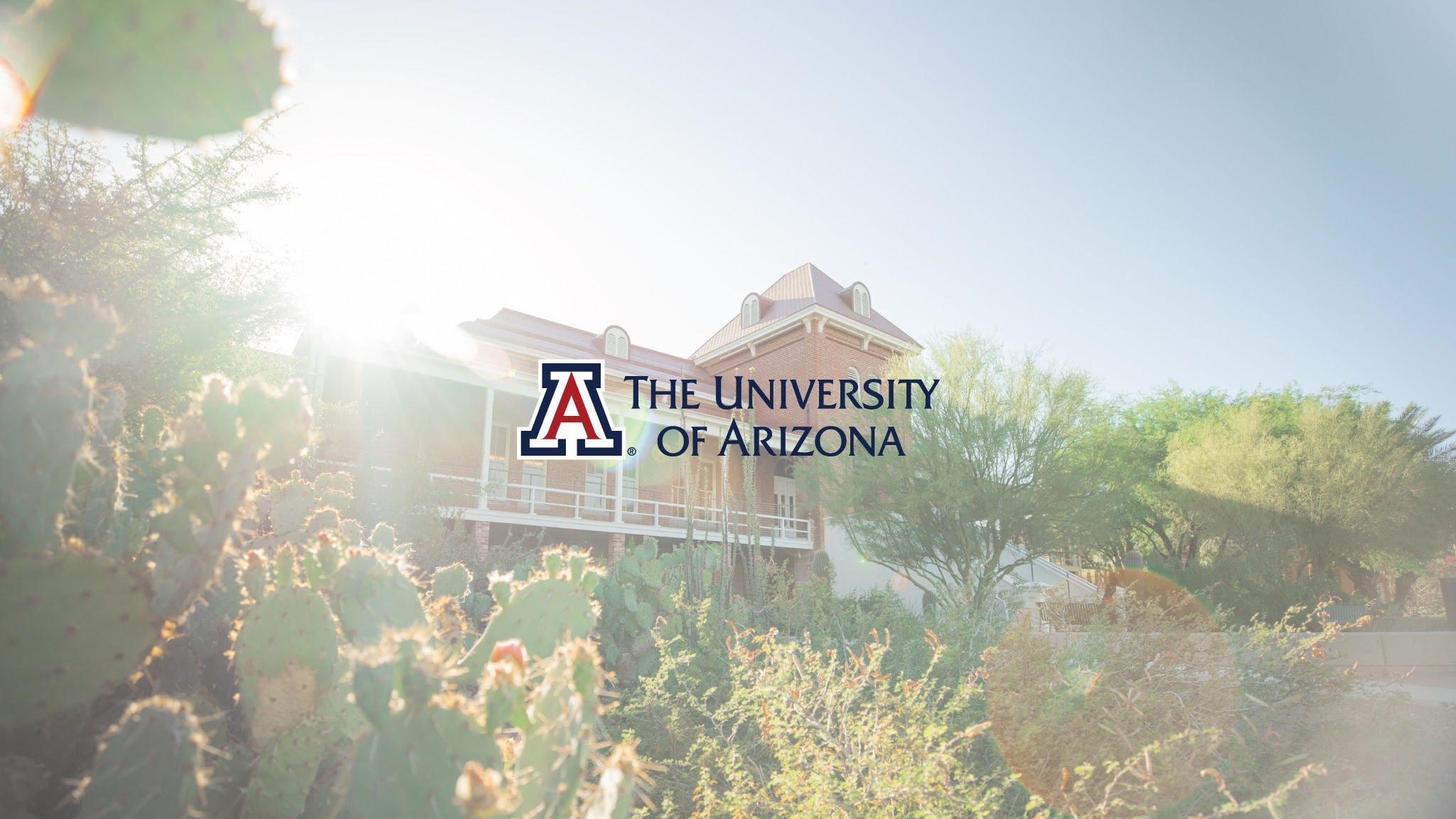 The University of Arizona YouTube banner