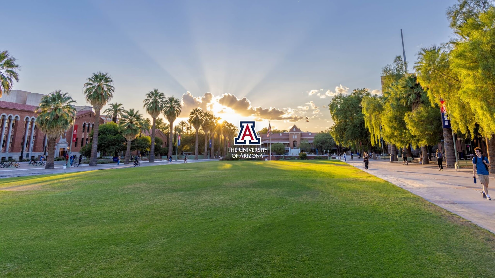 The University of Arizona YouTube banner